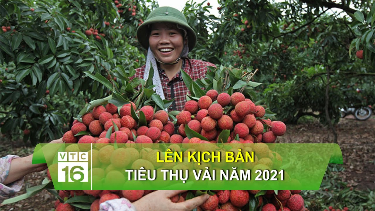 Thua đội cuối bảng vì sai lầm khó hiểu, HLV Quảng Nam nhắn tin xin từ chức_video đánh giá sản phẩm